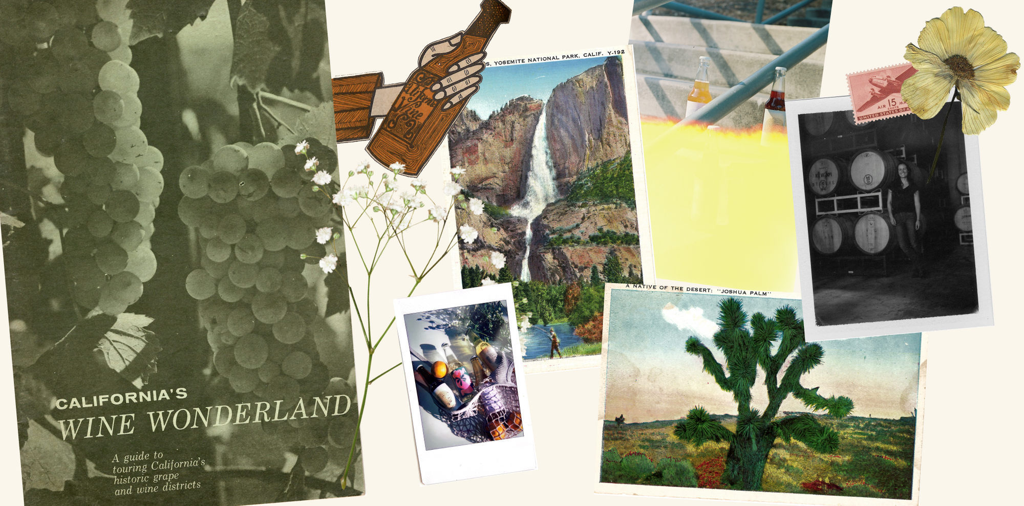 We'll be back on 7/25!