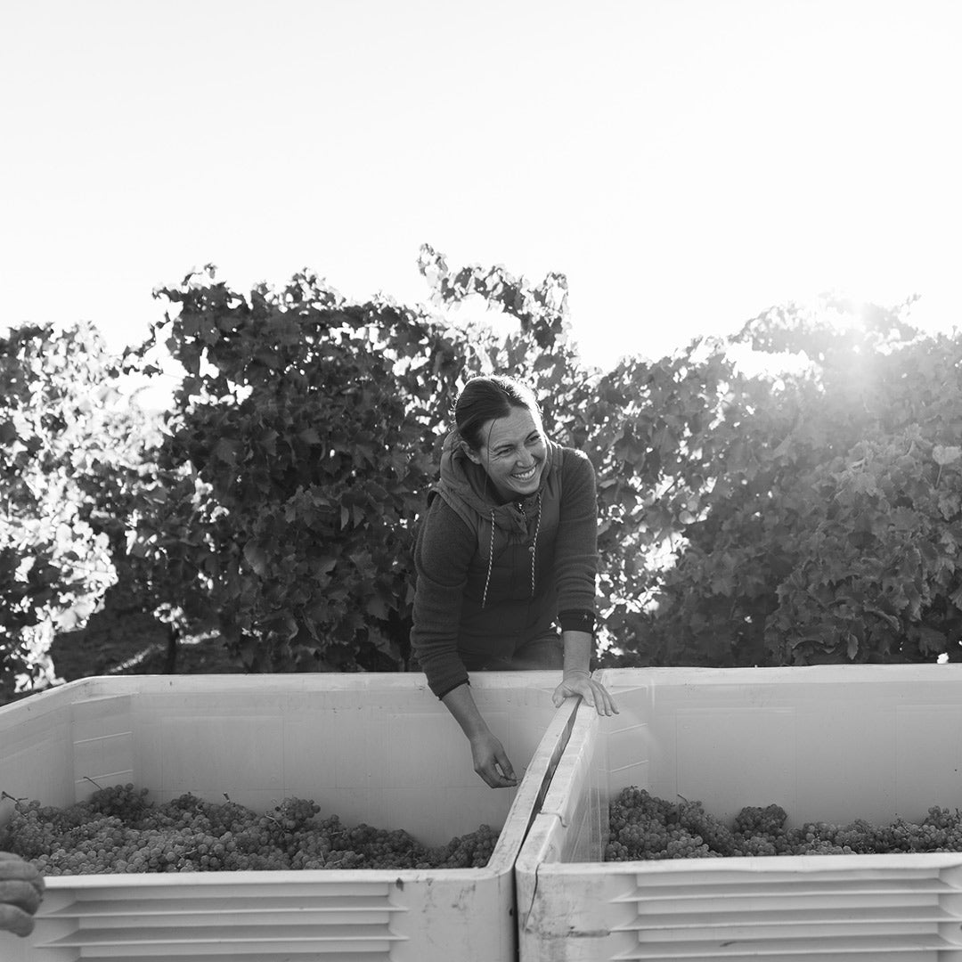 Working with Nature: The Natural Wine Movement