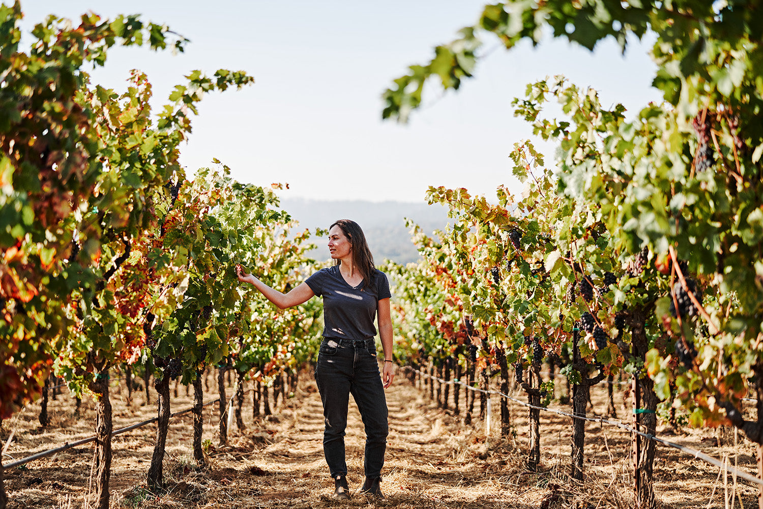 SS23 Winemaker Note