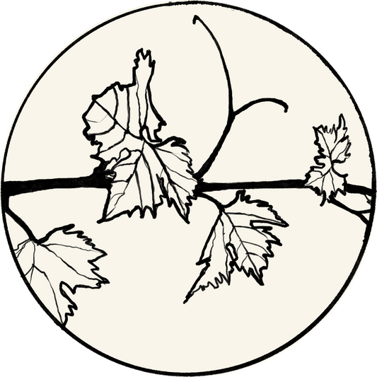 Illustration of a vine with leafs
