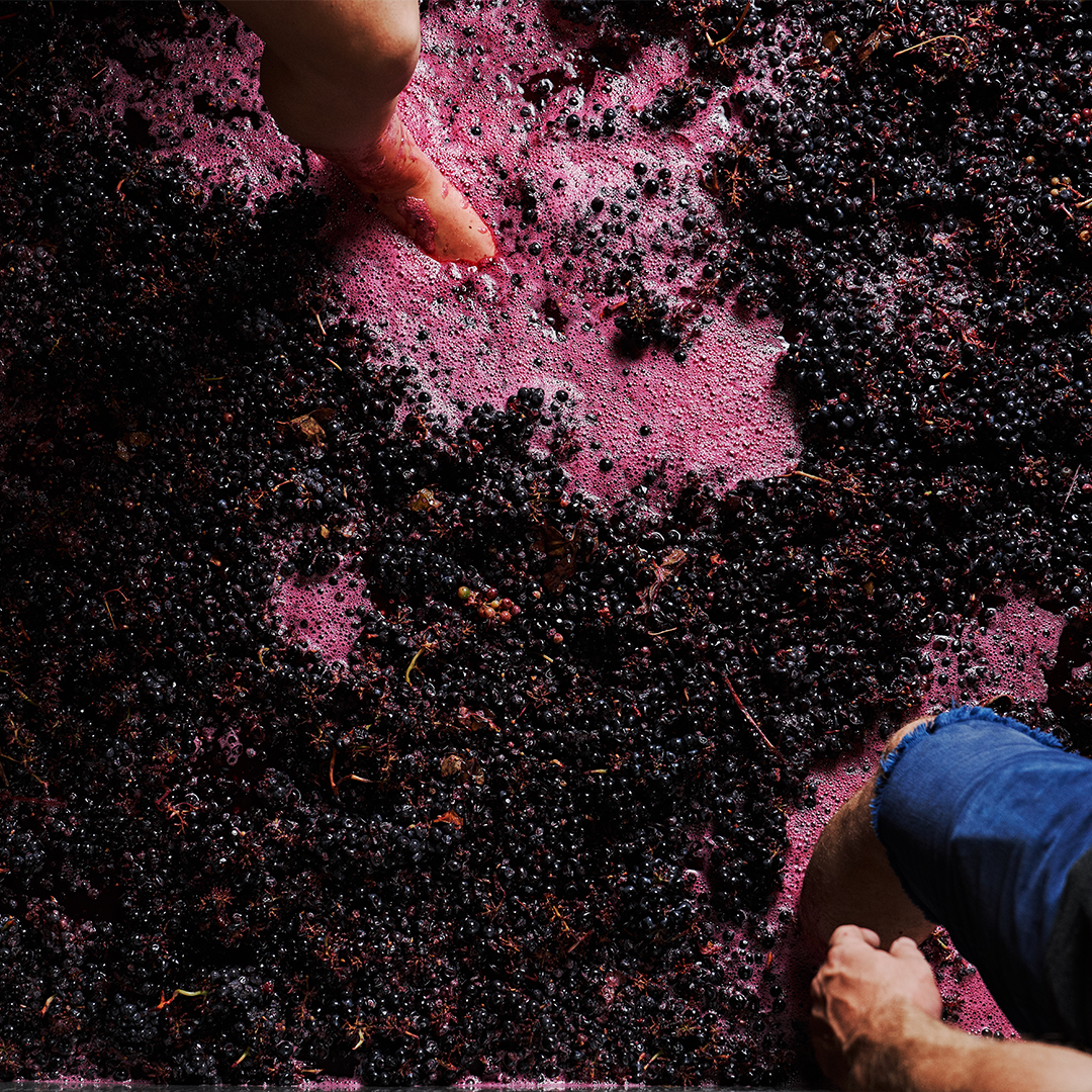 Two people stomping grapes, one visible foot from each, surrounded by a frothy mix of crushed dark grapes and bright pink juice, creating a vibrant, tactile scene.