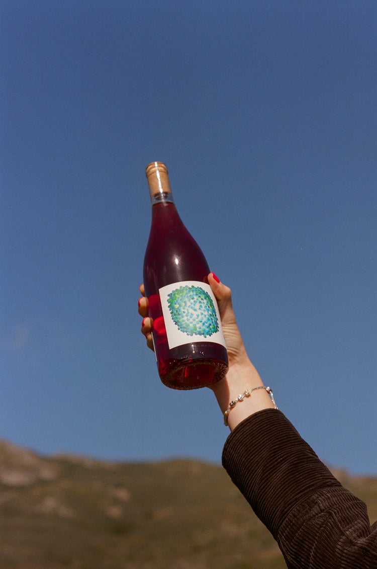 A hand with red nail polish holds up a bottle of Martha Stoumen Nero d'Avola rosato wine against a clear blue sky. The bottle has a colorful, abstract label that features bright blues and greens, conveying a sense of joy.