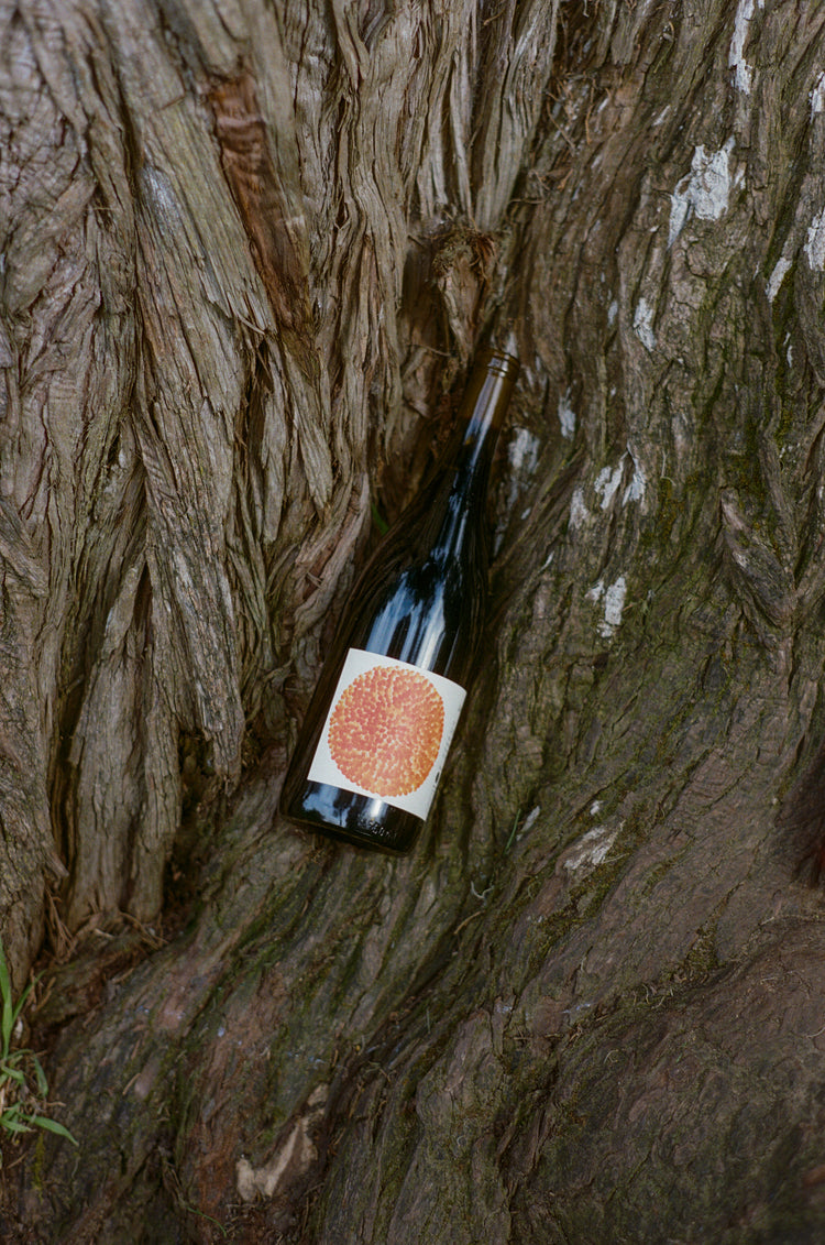 A wine bottle with an orange label (Martha Stoumen Venturi Carignan) rests against a textured tree trunk. The bark's rough texture contrasts with the smooth glass, evoking a rustic charm.