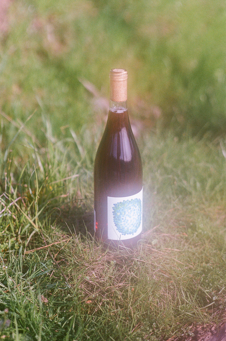 A bottle of Martha Stoumen Nero d'Avola Rosato with a cork top stands on green grass. The label features an abstract design with green and blue hues. The scene feels peaceful, the photo is on film with a haze over the lense, creating an ethereal feeling.