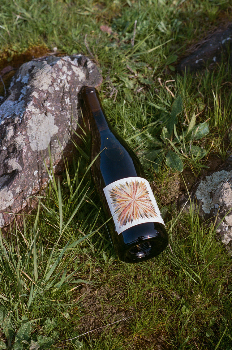 A Martha Stoumen wine bottle with an abstract label leans against a rock outdoors. The bottle sits on lush green grass, conveying a rustic, natural feel.