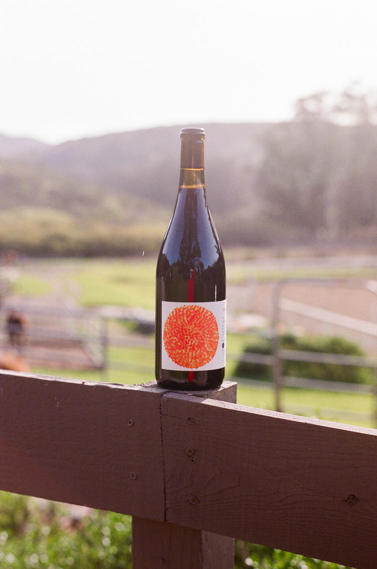 A wine bottle (Martha Stoumen Venturi Carignan) with an orange abstract label stands on a wooden fence rail. The background is a blurred outdoor landscape with fields and hills.