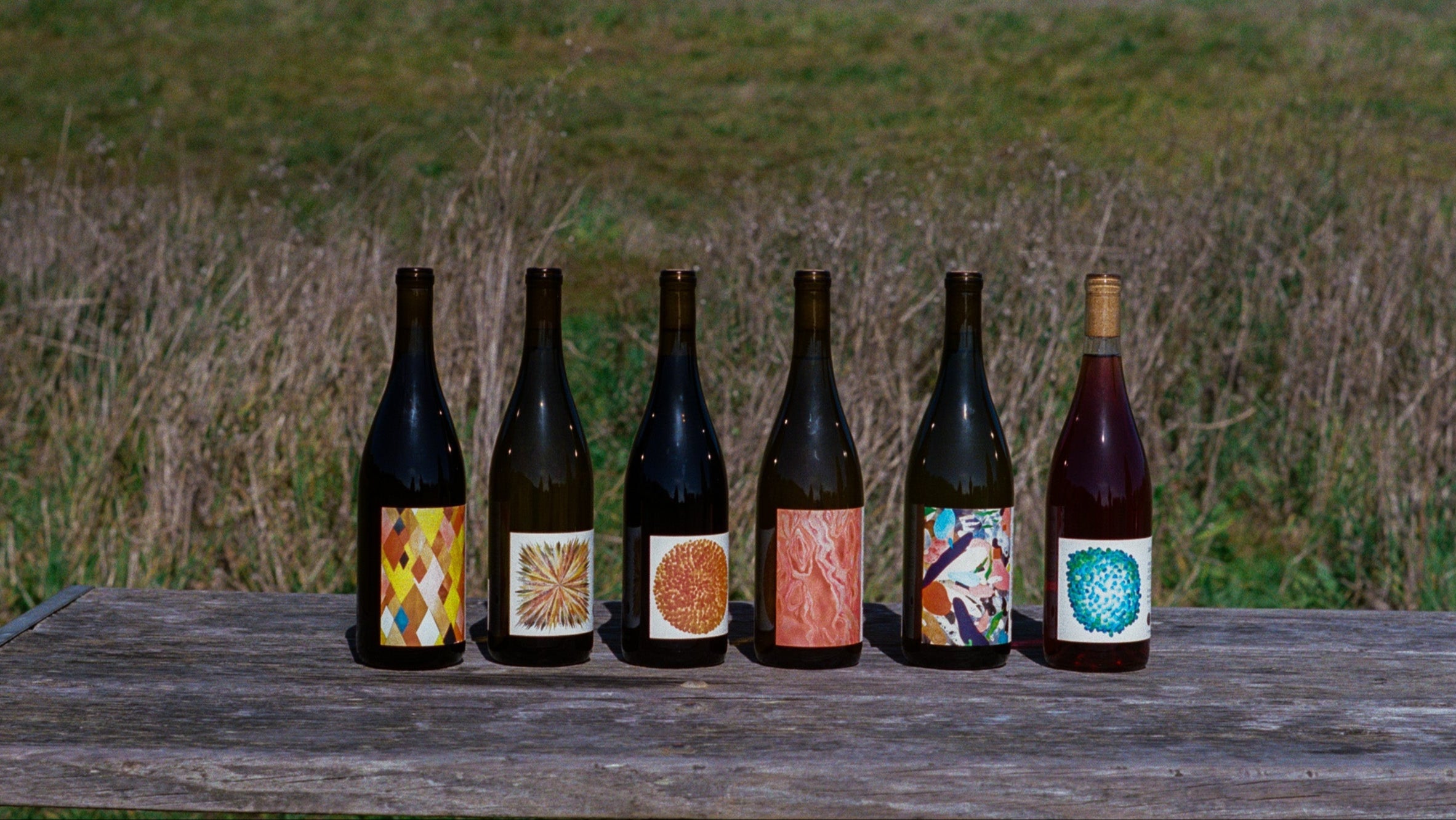 A film photograph of the Spring 2025 lineup on a picnic table with lush greenery in the background. The lineup features six bottles of wine, all dark glass, with various labels ranging from oranges and reds to bright blues.