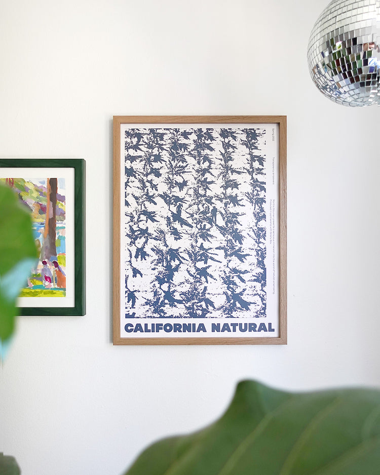Wall art scene with a poster titled "California Natural," featuring abstract blue foliage. A leafy plant and a disco ball add a lively touch.