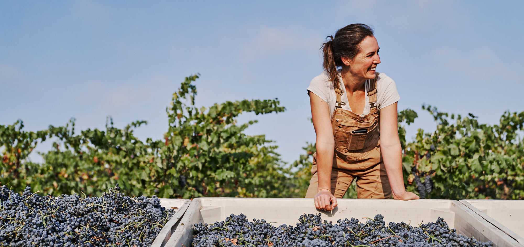 Winemaker Note: Spring/Summer 2021